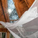 Margaritis\'S Treehouse