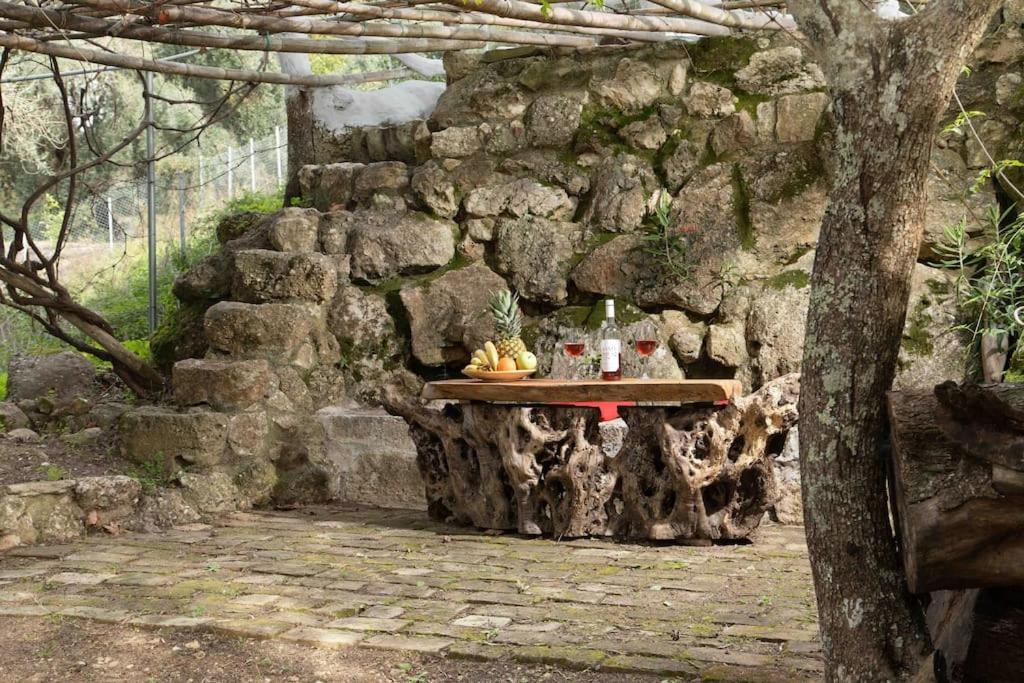 Margaritis's Treehouse Case de vacanță Paramonas (Corfu)